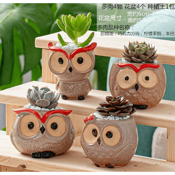 Macetero de buho de ceramica
